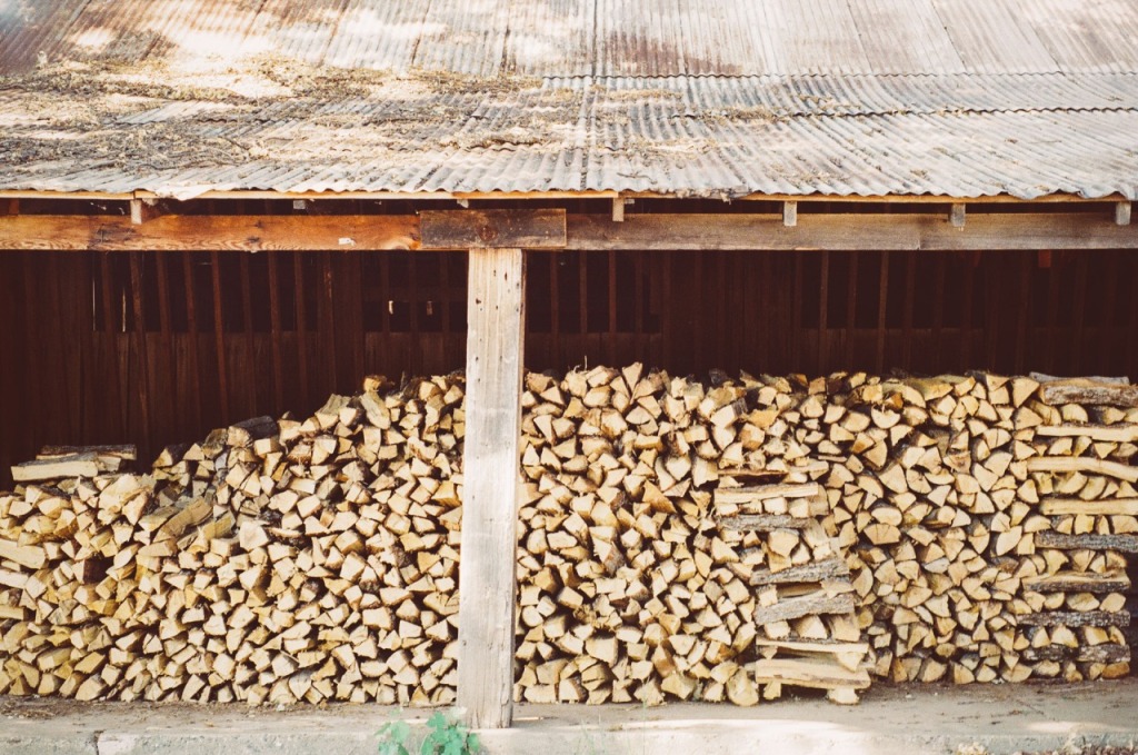 Wood Pile